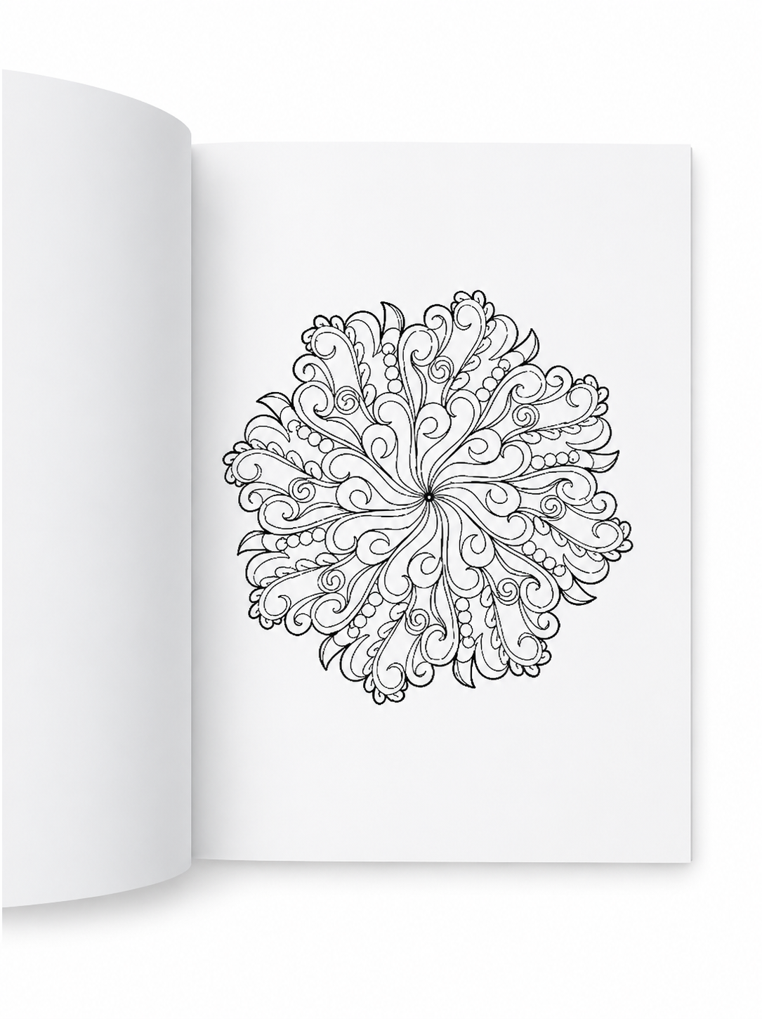 🖍️ Mandala Coloring Book